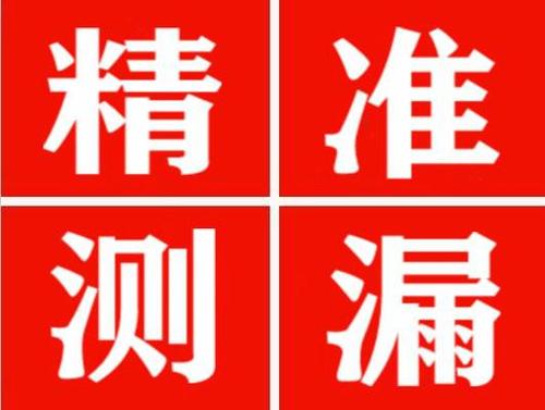 得荣尚嘉漏水精准查找